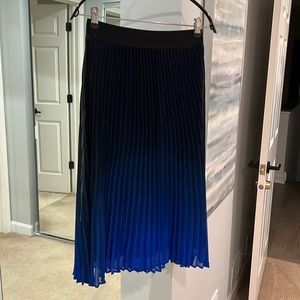 Ombré Midi Skirt - NWT